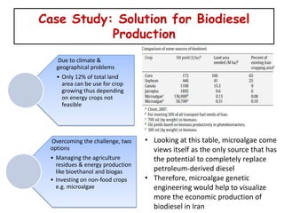 Biodiesel | PPTX