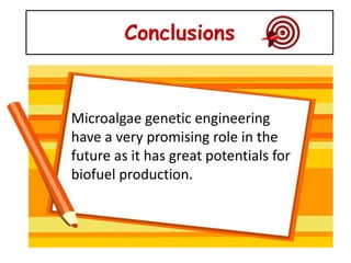 Conclusions


Microalgae genetic engineering
have a very promising role in the
future as it has great potentials for
biofuel production.
 