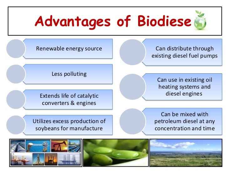 advantages and disadvantages of oil conservation advantages and disadvantages of oil conservation