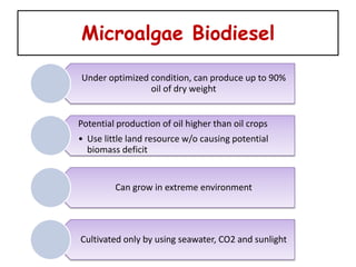 Microalgae Biodiesel

Under optimized condition, can produce up to 90%
                oil of dry weight


Potential production of oil higher than oil crops
• Use little land resource w/o causing potential
  biomass deficit


         Can grow in extreme environment




Cultivated only by using seawater, CO2 and sunlight
 