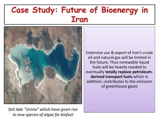 Case Study: Future of Bioenergy in
               Iran



                                          Extensive use & export of Iran’s crude
                                           oil and natural gas will be limited in
                                            the future. Thus renewable liquid
                                              fuels will be heavily needed to
                                          eventually totally replace petroleum-
                                             derived transport fuels which in
                                          addition, contributes to the emission
                                                   of greenhouse gases




Salt lake “Urmia” which have given rise
  to new species of algae for biofuel
 