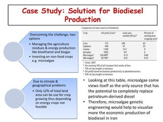 Case Study: Solution for Biodiesel
           Production
 Overcoming the challenge, two
 options
 • Managing the agriculture
   residues & energy production
   like bioethanol and biogas
 • Investing on non-food crops
   e.g. microalgae




   Due to climate &               • Looking at this table, microalgae come
   geographical problems            views itself as the only source that has
   • Only 12% of total land         the potential to completely replace
     area can be use for crop
     growing thus depending
                                    petroleum-derived diesel
     on energy crops not          • Therefore, microalgae genetic
     feasible                       engineering would help to visualize
                                    more the economic production of
                                    biodiesel in Iran
 