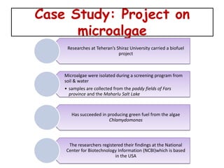 Case Study: Project on
      microalgae
     Researches at Teheran’s Shiraz University carried a biofuel
                              project



    Microalgae were isolated during a screening program from
    soil & water
    • samples are collected from the paddy fields of Fars
      province and the Maharlu Salt Lake



       Has succeeded in producing green fuel from the algae
                         Chlamydomonas




     The researchers registered their findings at the National
    Center for Biotechnology Information (NCBI)which is based
                            in the USA
 
