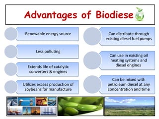 Advantages of Biodiesel
 Renewable energy source         Can distribute through
                                existing diesel fuel pumps

       Less polluting
                                  Can use in existing oil
                                  heating systems and
  Extends life of catalytic          diesel engines
   converters & engines
                                   Can be mixed with
Utilizes excess production of    petroleum diesel at any
 soybeans for manufacture        concentration and time
 