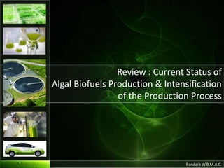 Review : Current Status of
Algal Biofuels Production & Intensification
of the Production Process
Bandara W.B.M.A.C.
1
 