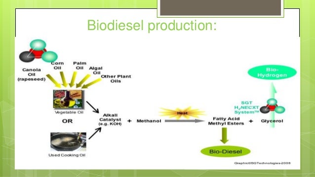 What Chemical Reaction Makes Biodiesel – QGBR