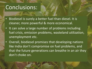Biodiesel: The Fuel Of The Future | PPTX