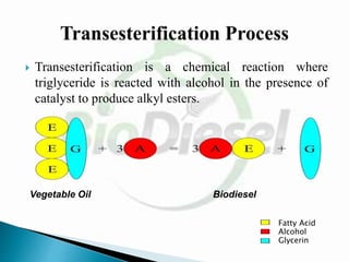  Transesterification is a chemical reaction where
triglyceride is reacted with alcohol in the presence of
catalyst to produce alkyl esters.
Vegetable Oil Biodiesel
Fatty Acid
Alcohol
Glycerin
 
