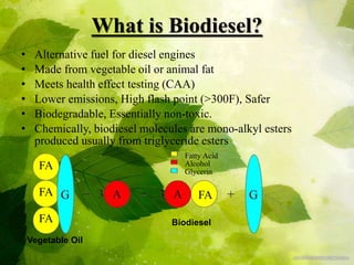 What is Biodiesel?
• Alternative fuel for diesel engines
• Made from vegetable oil or animal fat
• Meets health effect testing (CAA)
• Lower emissions, High flash point (>300F), Safer
• Biodegradable, Essentially non-toxic.
• Chemically, biodiesel molecules are mono-alkyl esters
produced usually from triglyceride esters
Fatty Acid
Alcohol
Glycerin
Vegetable Oil
BiodieselFA
FAFA
FA
 