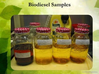 Biodiesel Samples
 