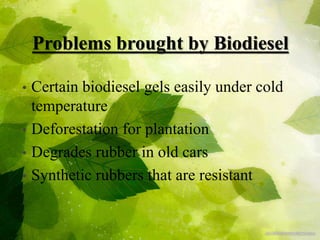 Problems brought by Biodiesel
• Certain biodiesel gels easily under cold
temperature
• Deforestation for plantation
• Degrades rubber in old cars
• Synthetic rubbers that are resistant
 