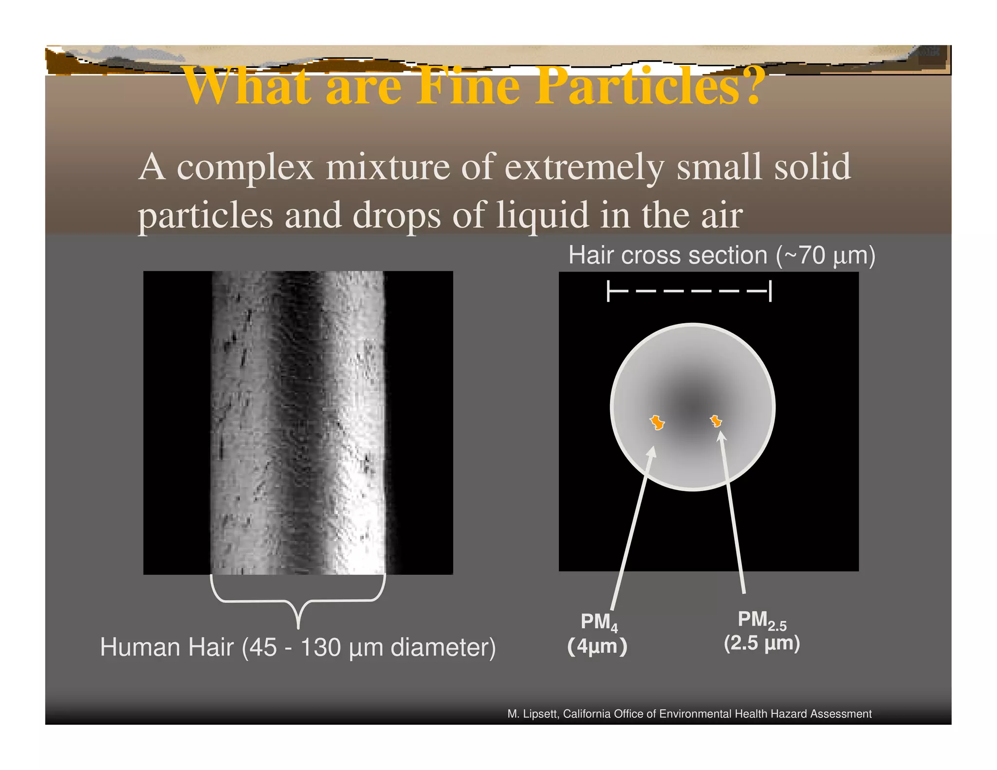 What are Fine Particles?
   A complex mixture of extremely small solid
   particles and drops of liquid in the air
                                               Hair cross section (~70 µm)




                                                PM4                             PM2.5
Human Hair (45 - 130 µm diameter)              (4µm)                          (2.5 µm)


                                    M. Lipsett, California Office of Environmental Health Hazard Assessment
 