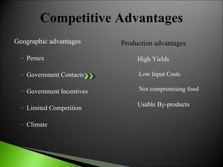 Geographic advantages Pemex Government Contacts  Government Incentives Limited Competition Climate Production advantages High Yields Low Input Costs Not compromising food Usable By-products Competitive Advantages 