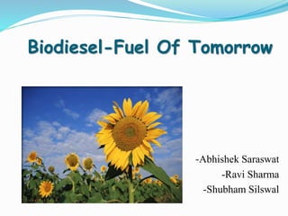 Biodiesel-Fuel Of Tomorrow
-Abhishek Saraswat
-Ravi Sharma
-Shubham Silswal
 