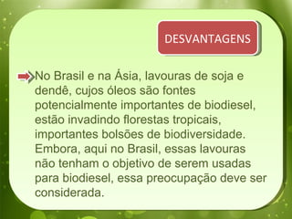 No Brasil e na Ásia, lavouras de soja e dendê, cujos óleos são fontes potencialmente importantes de biodiesel, estão invadindo florestas tropicais, importantes bolsões de biodiversidade. Embora, aqui no Brasil, essas lavouras não tenham o objetivo de serem usadas para biodiesel, essa preocupação deve ser considerada. DESVANTAGENS 