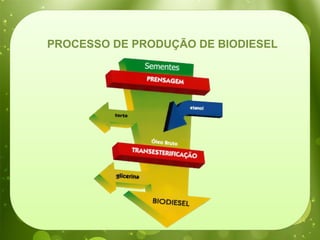 PROCESSO DE PRODUÇÃO DE BIODIESEL
 