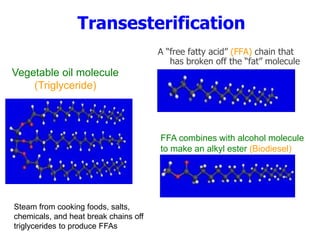 Transesterification
A “free fatty acid” (FFA) chain that
has broken off the “fat” molecule
Steam from cooking foods, salts,
chemicals, and heat break chains off
triglycerides to produce FFAs
Vegetable oil molecule
(Triglyceride)
FFA combines with alcohol molecule
to make an alkyl ester (Biodiesel)
 