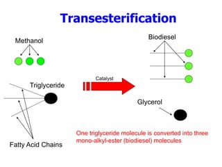 Transesterification
Fatty Acid Chains
Glycerol
Methanol
One triglyceride molecule is converted into three
mono-alkyl-ester (biodiesel) molecules
Biodiesel
Triglyceride
Catalyst
 