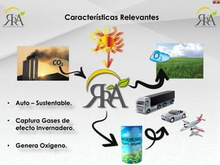 Características RelevantesAuto – Sustentable.Captura Gases de efecto Invernadero.Genera Oxigeno.