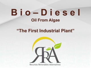B i o – D i e s e l OilFromAlgae “TheFirst Industrial Plant” 
