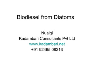 Biodiesel from Diatoms Nualgi Kadambari Consultants Pvt Ltd www.kadambari.net +91 92465 08213 