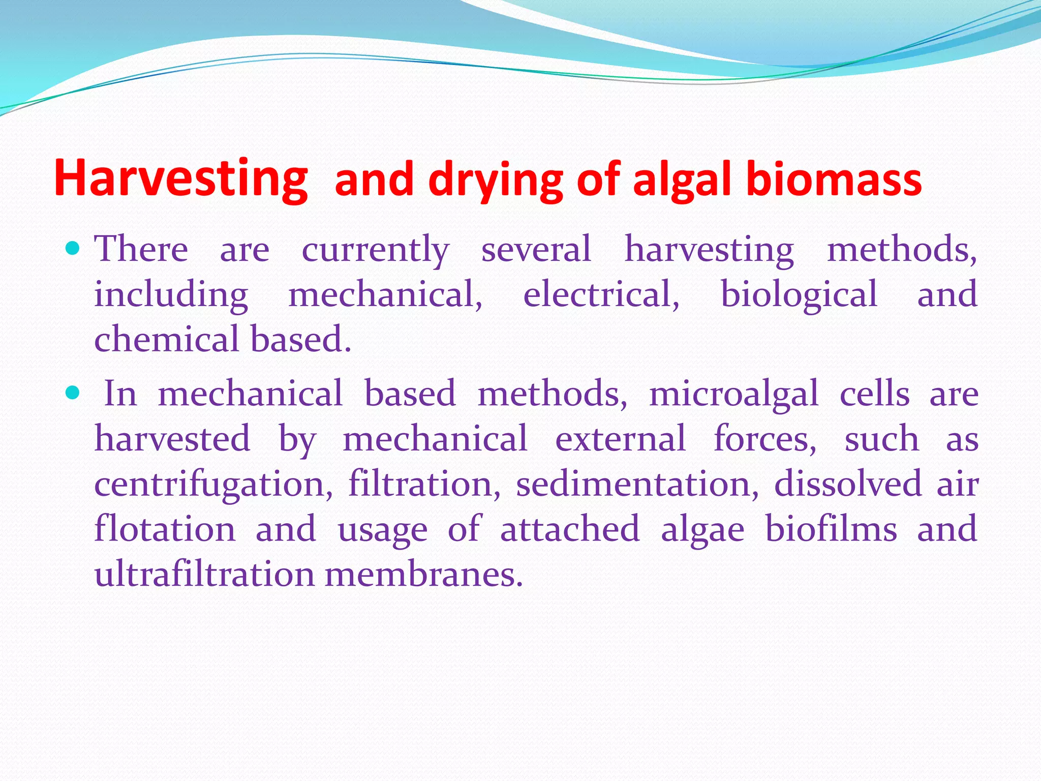 Harvesting and drying of algal biomass
 There are currently several harvesting methods,
including mechanical, electrical, biological and
chemical based.
 In mechanical based methods, microalgal cells are
harvested by mechanical external forces, such as
centrifugation, filtration, sedimentation, dissolved air
flotation and usage of attached algae biofilms and
ultrafiltration membranes.
 