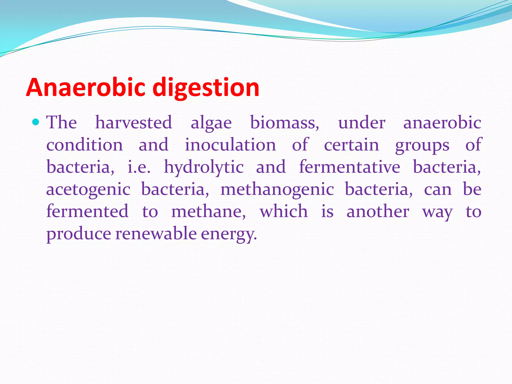 Anaerobic digestion
 The harvested algae biomass, under anaerobic
condition and inoculation of certain groups of
bacteria, i.e. hydrolytic and fermentative bacteria,
acetogenic bacteria, methanogenic bacteria, can be
fermented to methane, which is another way to
produce renewable energy.
 