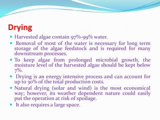 Biodiesel from microalgae production methods - a review | PPTX