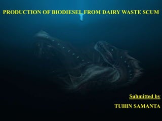 PRODUCTION OF BIODIESEL FROM DAIRY WASTE SCUM
Submitted by
TUHIN SAMANTA
 