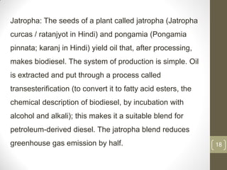 18
Jatropha: The seeds of a plant called jatropha (Jatropha
curcas / ratanjyot in Hindi) and pongamia (Pongamia
pinnata; karanj in Hindi) yield oil that, after processing,
makes biodiesel. The system of production is simple. Oil
is extracted and put through a process called
transesterification (to convert it to fatty acid esters, the
chemical description of biodiesel, by incubation with
alcohol and alkali); this makes it a suitable blend for
petroleum-derived diesel. The jatropha blend reduces
greenhouse gas emission by half.
 