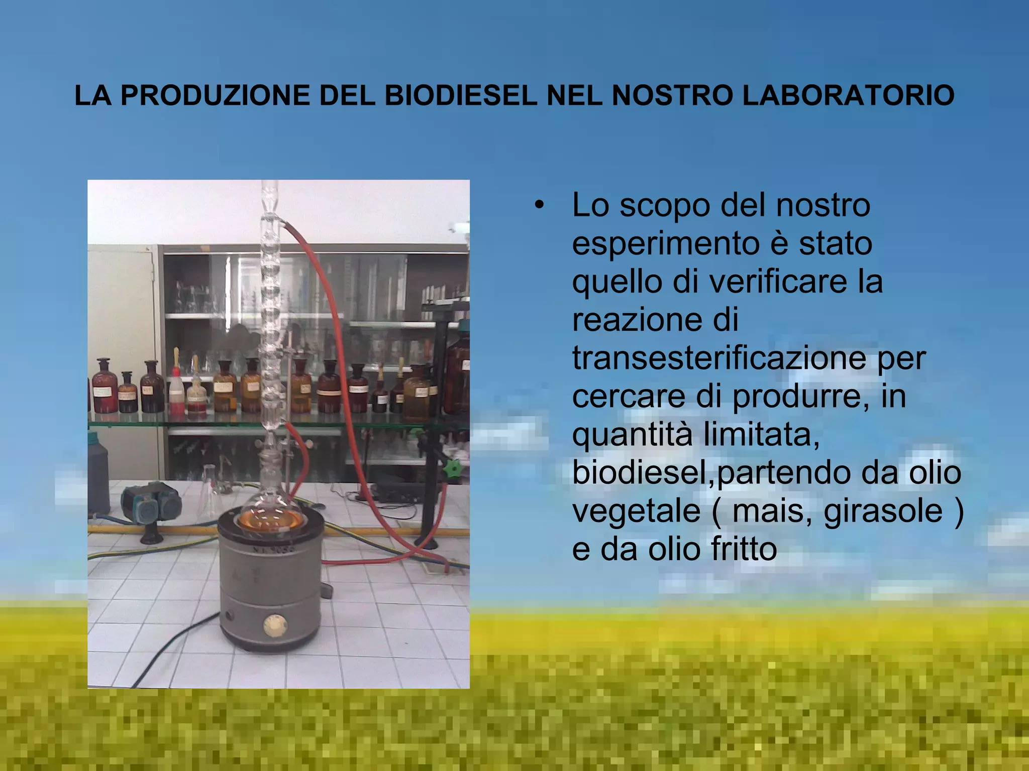 Biodiesel In Laboratorio | PPS