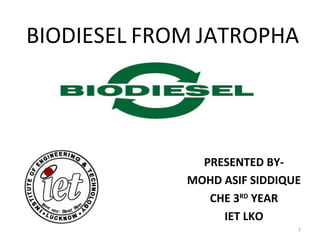 1
PRESENTED BY-
MOHD ASIF SIDDIQUE
CHE 3RD
YEAR
IET LKO
BIODIESEL FROM JATROPHA
 