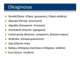 Oleaginosas
 Dendê/Palma (Elaeis guineensis / Elaeis oleifera)
 Abacate (Persea americana)
 Algodão (Gossypium hirsutum)
 Amendoim (Arachis hypogaea)
 Colza/canola (Brassica campestris, Brassica napus)
 Andiroba (Carapa guianensis)
 Soja (Glycine max)
 Babaçu (Orbignya martiana e Orbignya oleifera)
 Coco (Cocos nucifera)
 