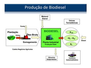 Produção de Biodiesel
 