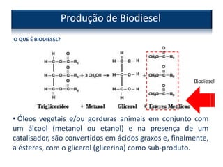 Produção de Biodiesel
O QUE É BIODIESEL?
Biodiesel
• Óleos vegetais e/ou gorduras animais em conjunto com
um álcool (metanol ou etanol) e na presença de um
catalisador, são convertidos em ácidos graxos e, finalmente,
a ésteres, com o glicerol (glicerina) como sub-produto.
 