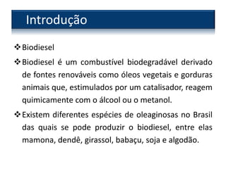 Biodiesel
Biodiesel é um combustível biodegradável derivado
de fontes renováveis como óleos vegetais e gorduras
animais que, estimulados por um catalisador, reagem
quimicamente com o álcool ou o metanol.
Existem diferentes espécies de oleaginosas no Brasil
das quais se pode produzir o biodiesel, entre elas
mamona, dendê, girassol, babaçu, soja e algodão.
Introdução
 