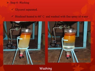  Step 4- Washing
 Glycerol separated.
 Biodiesel heated to 60˚ C and washed with fine spray of water.
Washing
 