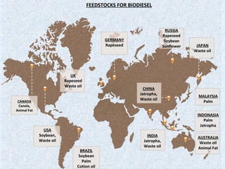 INDIA
Jatropha,
Waste oil
USA
Soybean,
Waste oil
CANADA
Canola,
Animal Fat
GERMANY
Rapeseed
MALAYSIA
Palm
INDONASIA
Palm
Jatropha
AUSTRALIA
Waste oil
Animal Fat
RUSSIA
Rapeseed
Soybean
Sunflower JAPAN
Waste oil
CHINA
Jatropha,
Waste oil
BRAZIL
Soybean
Palm
Cotton oil
UK
Rapeseed
Waste oil
FEEDSTOCKS FOR BIODIESEL
 