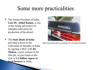 Some more practicalities
 The former President of India,
Late Dr. Abdul Kalam, is one
of the strong advocaters of
Jatropha cultivation for
production of bio-diesel.
 The State Bank of India
provided a boost to the
cultivation of Jatropha in India
by signing a MoU with D1
Mohan, a joint venture of D1
Oils plc, to give loans to the
tune of 1.3 billion rupees to
local farmers in India.
Older diesel Mercedes are popular for running on biodiesel
 