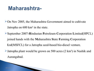On Nov 2005, the Maharashtra Government aimed to cultivate
Jatropha on 600 km² in the state.
September 2007-Hindustan Petroleum Corporation Limited(HPCL)
joined hands with the Maharashtra State Farming Corporation
Ltd(MSFCL) for a Jatropha seed-based bio-diesel venture.
Jatropha plant would be grown on 500 acres (2 km²) in Nashik and
Aurangabad.
09/13/15
 