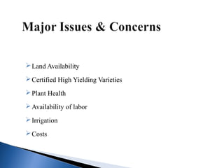 Land Availability
Certified High Yielding Varieties
Plant Health
Availability of labor
Irrigation
Costs
 