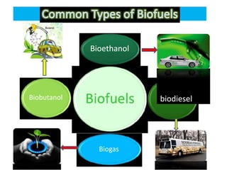 biofuel biodiesel presentstion.pptx