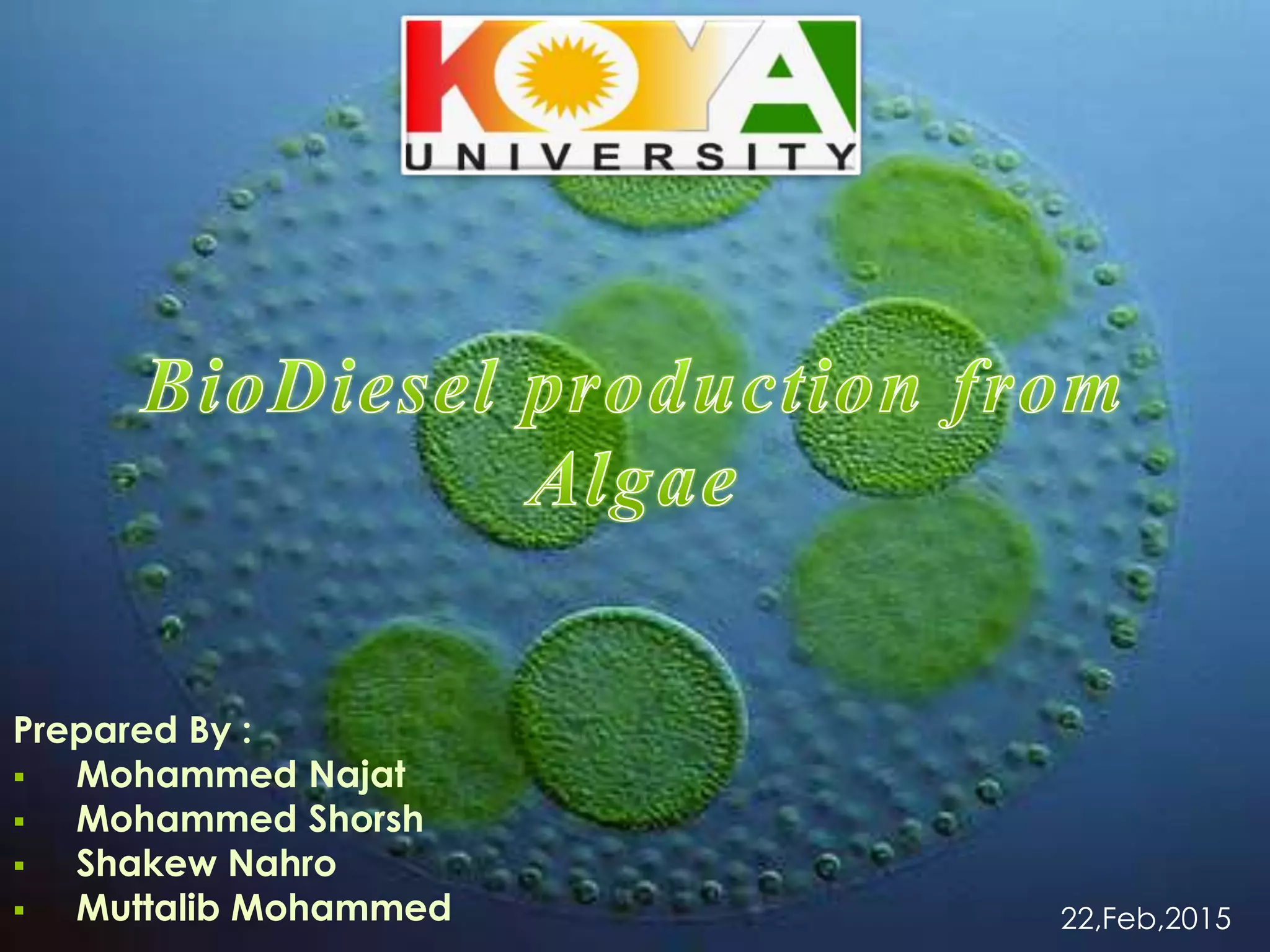 BioDiesel production from algae | PPTX