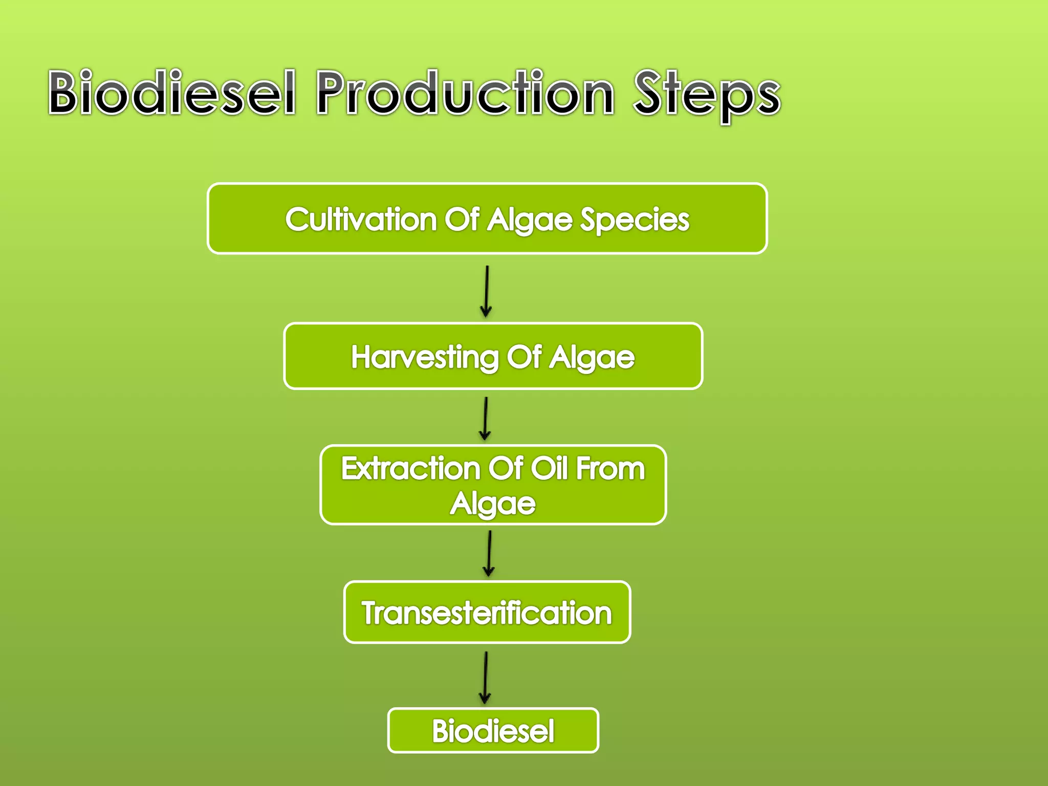 BioDiesel production from algae | PPTX