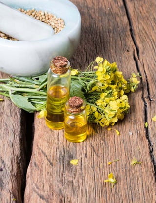 Ministério da Agricultura, Pecuária e Abastecimento • Usos de biodiesel no Brasil e no mundo
12
 