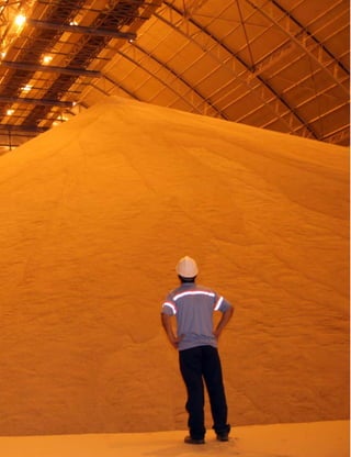 Ministério da Agricultura, Pecuária e Abastecimento • Usos de biodiesel no Brasil e no mundo
16
 