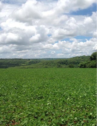 Ministério da Agricultura, Pecuária e Abastecimento • Usos de biodiesel no Brasil e no mundo
8
 