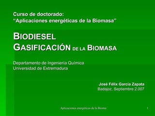 Curso de doctorado: “ Aplicaciones energéticas de la Biomasa” B IODIESEL G ASIFICACIÓN   DE LA   B IOMASA Departamento de Ingeniería Química Universidad de Extremadura José Félix García Zapata Badajoz, Septiembre 2.007 