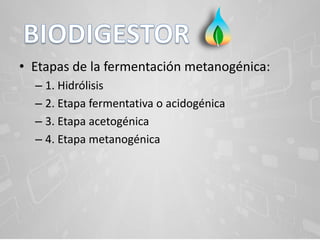 • Etapas de la fermentación metanogénica:
– 1. Hidrólisis
– 2. Etapa fermentativa o acidogénica
– 3. Etapa acetogénica
– 4. Etapa metanogénica
 