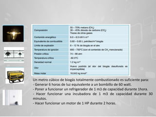 Un metro cúbico de biogás totalmente combustionado es suficiente para:
- Generar 6 horas de luz equivalente a un bombillo de 60 watt.
- Poner a funcionar un refrigerador de 1 m3 de capacidad durante 1hora.
- Hacer funcionar una incubadora de 1 m3 de capacidad durante 30
minutos.
- Hacer funcionar un motor de 1 HP durante 2 horas.
 